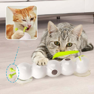 Caterpillar Teasing Cat Toy Motion Activated Kitten Toy Rechargeable Automatic C